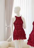 Ramona Dress (On hand)