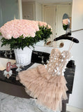 Zanea Dress
