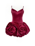 Anastelle Dress