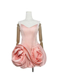 Anastelle Dress