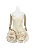 Anastelle Dress