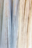Solene Dress